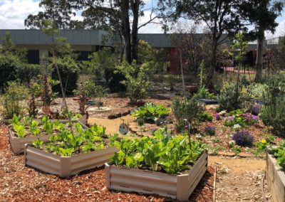 Koori Community Garden Photo